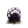 Комок цветущ. пурпурного мха (Dark Souls III)