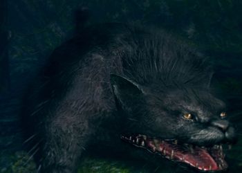 Мини-боссы в Dark Souls - Черная кошка