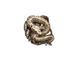 Кольца в Dark Souls 2 - Кольцо с золотым змеем 