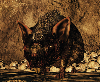 Торговцы в Dark Souls 2 - Крысиный Король