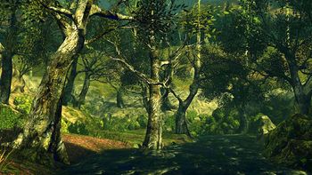 Локации в Dark Souls 2 - Лес Павших Гигантов