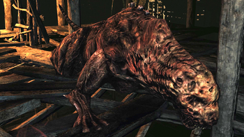 Противники в Dark Souls 2 - Охотничья собака