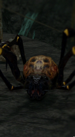 Противники в Dark Souls 2 - Паразитный паук