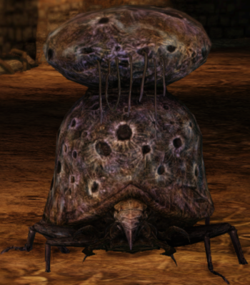 Противники в Dark Souls 2 - Рогатый жук (ядовитый)