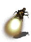 Расходуемые предметы в Dark Souls 2 - Светящийся жук
