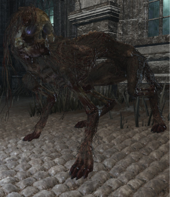 Противники в Dark Souls 3 - Гончий зверь Иритилла