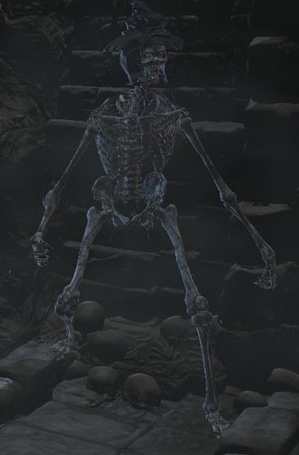 Противники в Dark Souls 3 - Скелет 