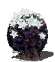 Заросли цветущего фиолетового мха