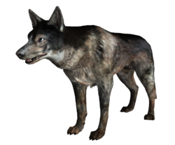 Существа в Fallout 4 - Собака