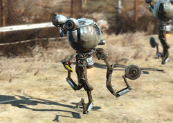 Именованные существа в Fallout 4 - Атомные сны