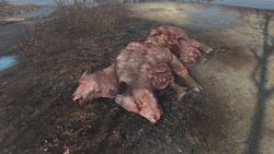 Именованные существа в Fallout 4 - Бесс 