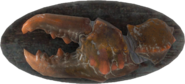 FO4-Mounted-Mirelurk-Claw.png (640 КБ)