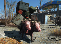 Именованные существа в Fallout 4 - Старушка