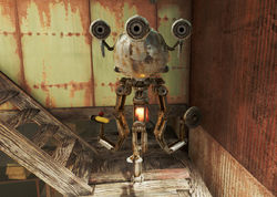 Именованные существа в Fallout 4 - Перси 