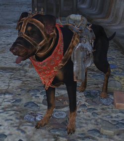 Именованные существа в Fallout 4 - Кайл (собака)