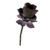Mutated fern flower