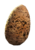 Квестовые предметы в Fallout 4 - Неповреждённое яйцо когтя смерти