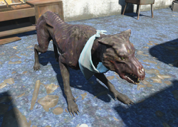 Именованные существа в Fallout 4 - Руби 