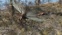 Существа в Fallout 4 - Жалокрыл